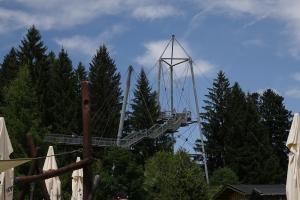 DSC02831 (1)