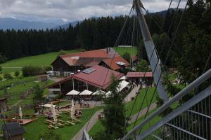 DSC02875 (1)