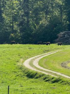 IMG-20250809-WA0002