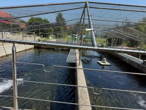 IMG-20250809-WA0014
