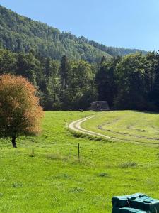 IMG-20250809-WA0021