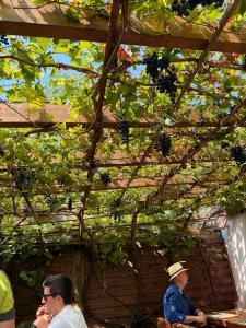 IMG-20250809-WA0026