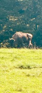 IMG-20250809-WA0029