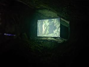 IMG-20250810-WA0023