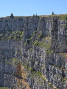 IMG-20250810-WA0041
