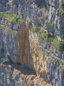 IMG-20250810-WA0042