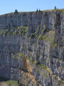 IMG-20250810-WA0043