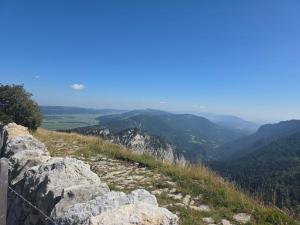 IMG-20250810-WA0046