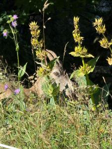 IMG-20250810-WA0054