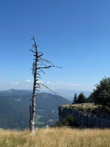 IMG-20250810-WA0069